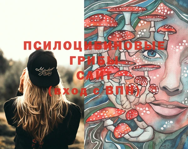 героин Новодвинск