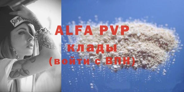 индика Нефтегорск