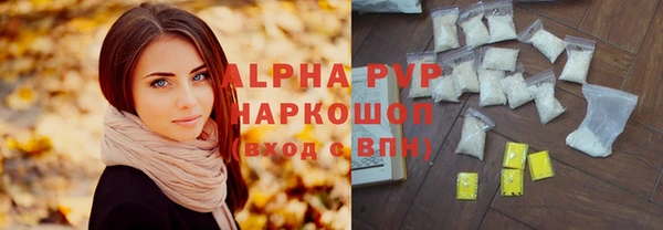 индика Нефтегорск