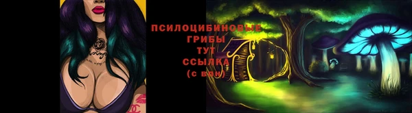 индика Нефтегорск