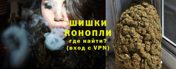 каннабис Новозыбков