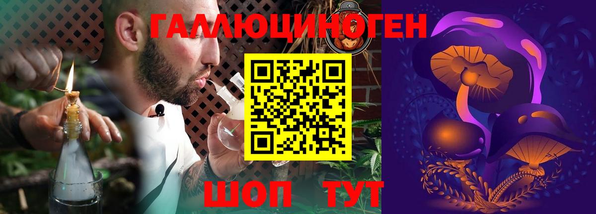 Псилоцибиновые грибы Cubensis  что такое наркотик  Псилоцибиновые грибы мицелий  Кандалакша 