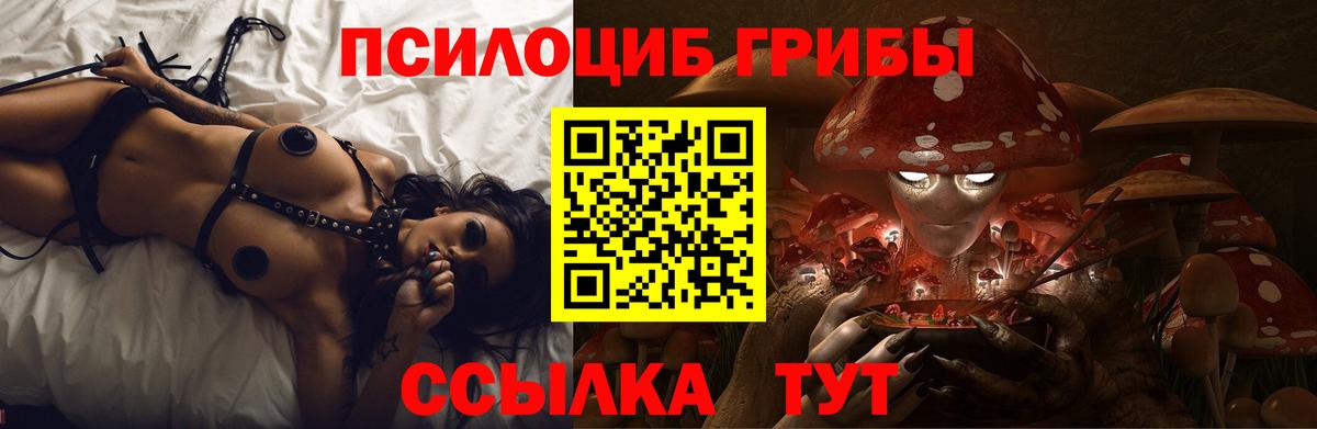 Псилоцибиновые грибы Psilocybe  Вход с VPN  Кандалакша  Галлюциногенные грибы Magic Shrooms 